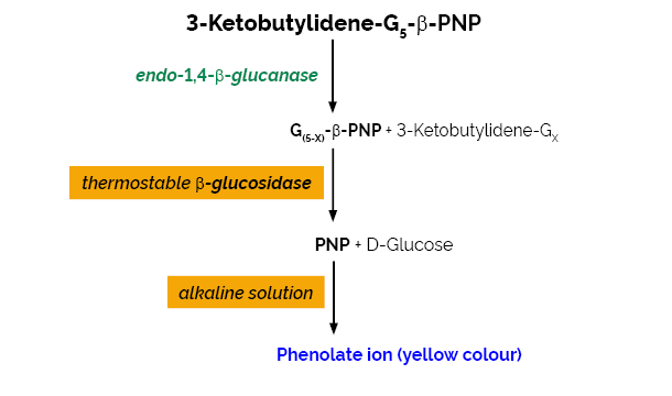 纤维素酶检测试剂盒（CellG5方法），K-CellG5-2V  /4V