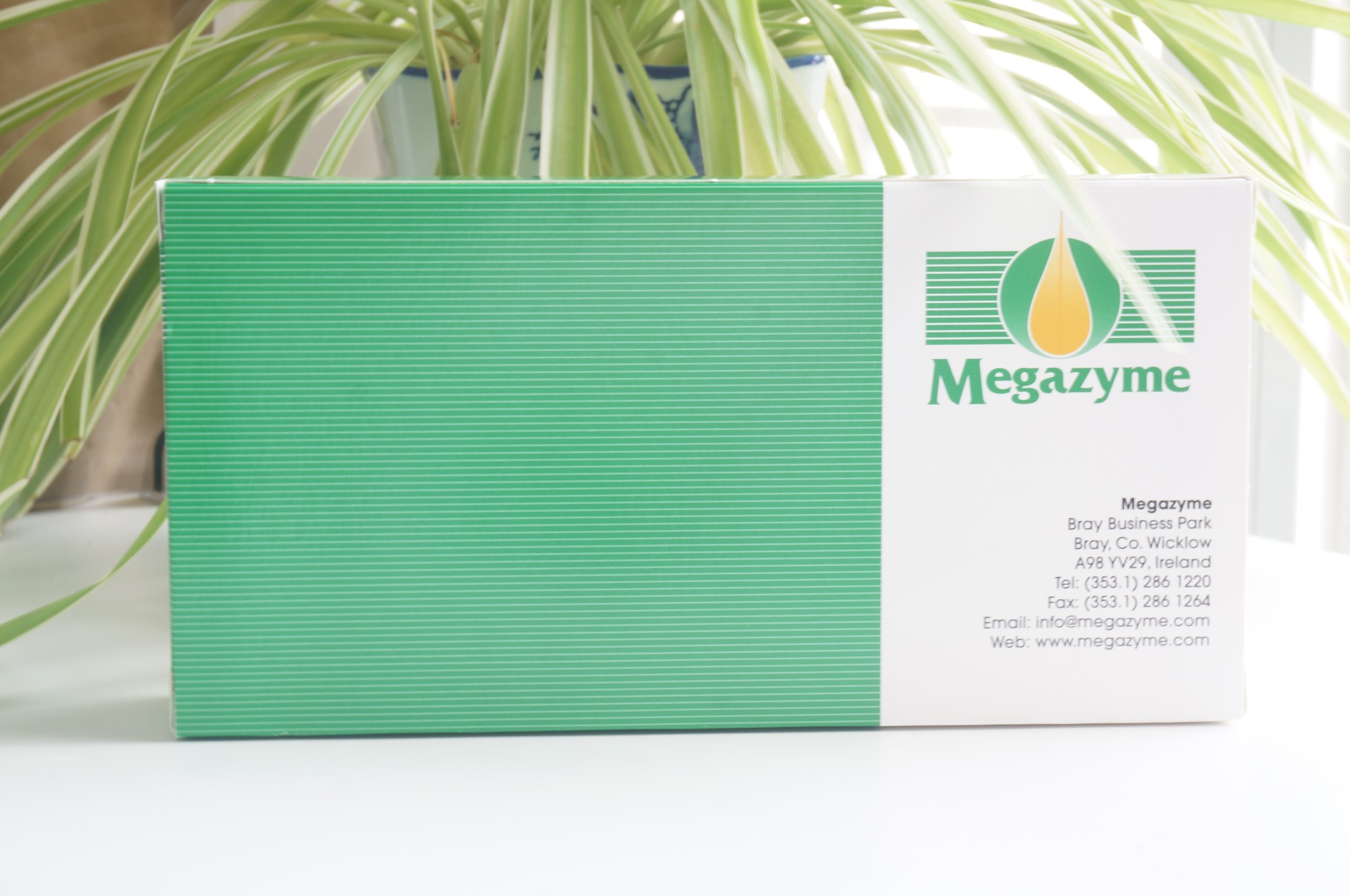 爱尔兰MegazymeD-异柠檬酸检测试剂盒