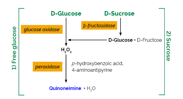 Megazyme蔗糖/ D-葡萄糖检测试剂盒， K-SUCGL