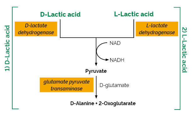 D- / L-乳酸检测试剂盒，K-DLATE