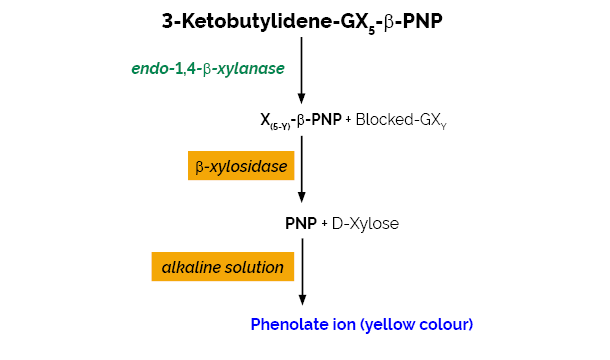 木聚糖酶检测试剂盒（XylX6方法）, K-XylX6-1V /2V