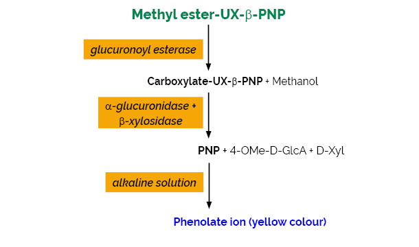 葡萄糖醛酸酯酶测定试剂盒，K-GEUX3