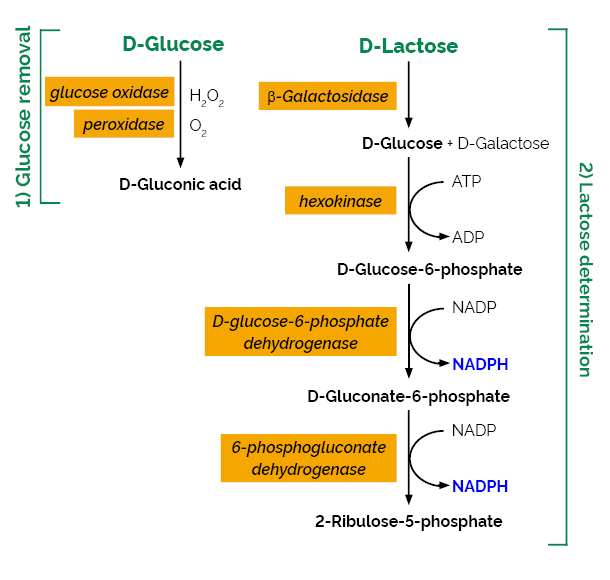 乳糖高灵敏检测试剂盒-连续酶法， K-LOLAC