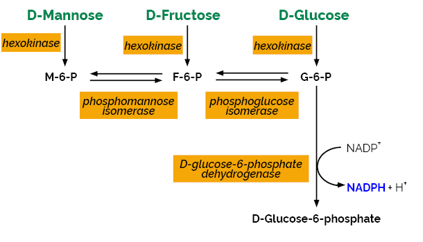 D-甘露糖/D-果糖/D-葡萄糖 检测试剂盒