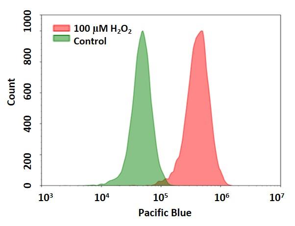 活性氧 Cell Meter 细胞内荧光法过氧化氢检测试剂盒 蓝色荧光适用于流式细胞仪     货号11505