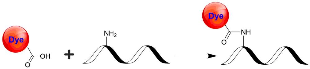 荧光淬灭剂Tide Quencher 1酸    货号2190
