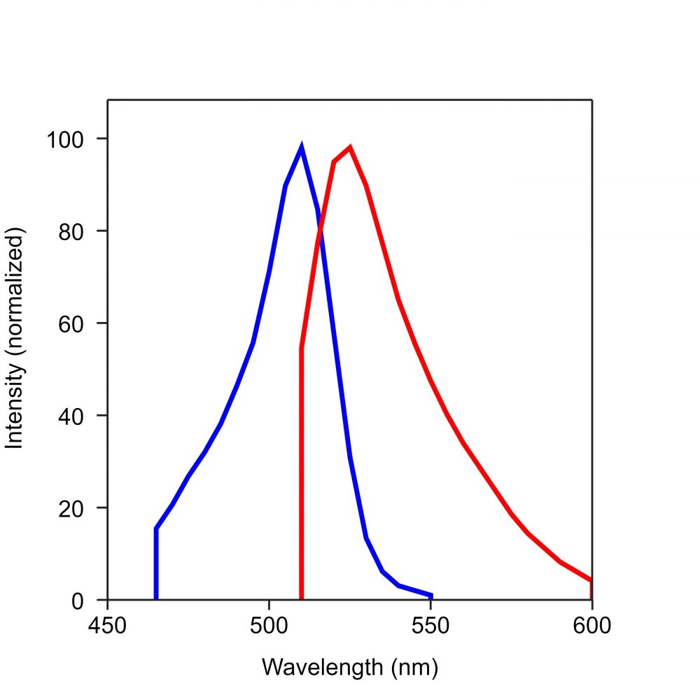 Thiolite  Green硫醇化合物绿色荧光探针    货号21508