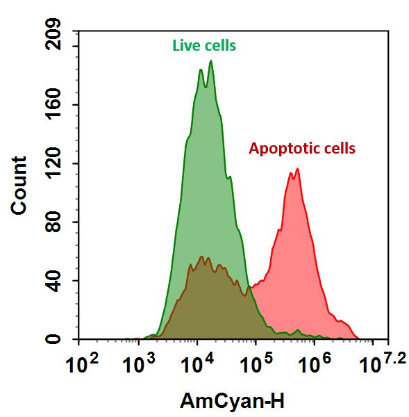 Annexin V-mFluor Violet 510标记    货号20081