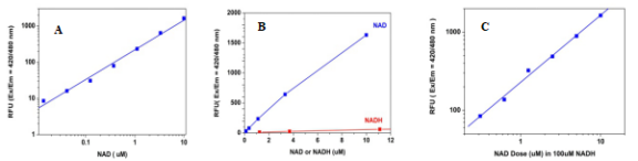 Amplite NAD检测试剂盒 （荧光法）蓝色荧光    货号15280