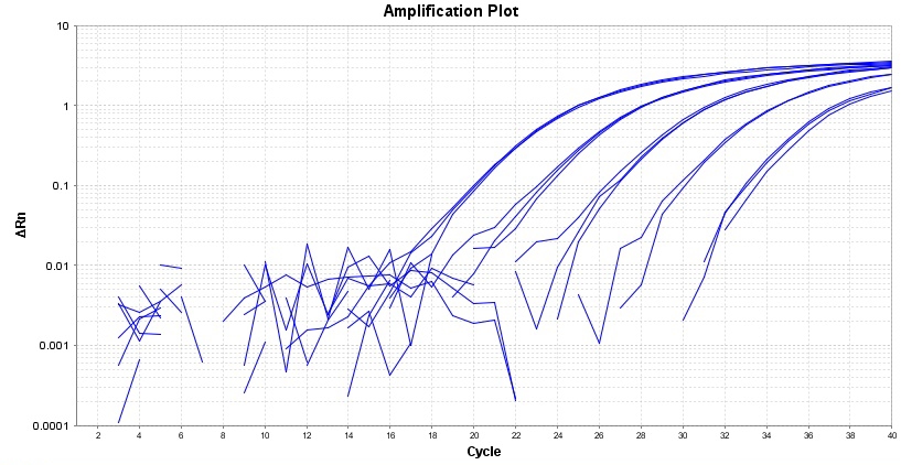 TAQuest FAST qPCR Master Mix 用于TaqMan探针*低ROX*    货号17290