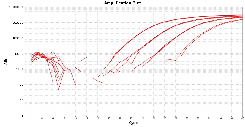 TAQuest FAST qPCR Master Mix 用于TaqMan探针*无ROX*    货号17288