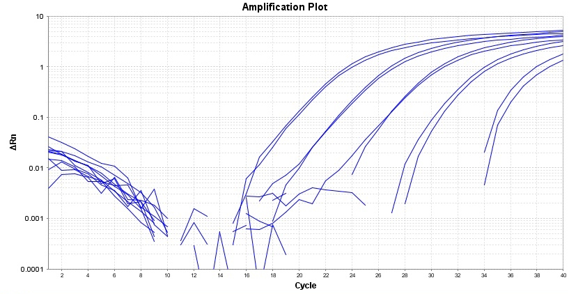 TAQuest qPCR Master Mix 用于TaqMan探针*低ROX*    货号17285