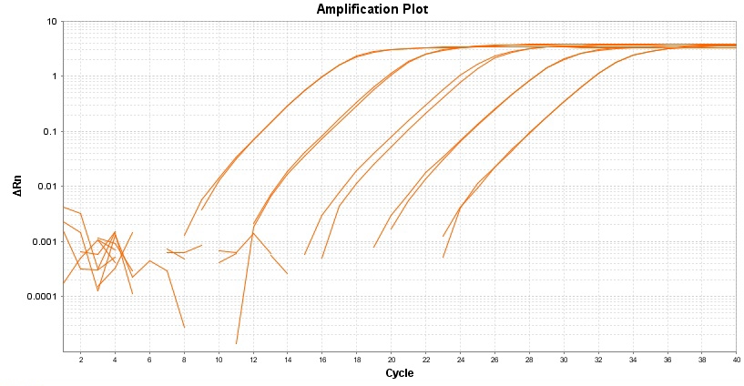 TAQuest qPCR Master Mix with Helixyte Green *低ROX*    货号17272