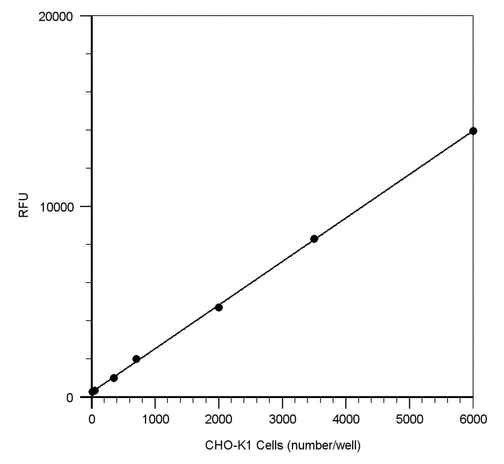 Cell Meter 细胞活性检测试剂盒 蓝色荧光     货号22785