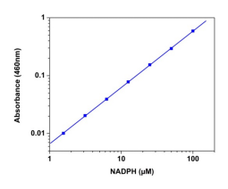 Amplite NADPH检测试剂盒(比色法)    货号15272