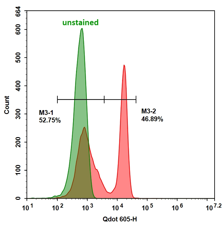 mFluor Violet 610琥珀酰亚胺酯    货号1156
