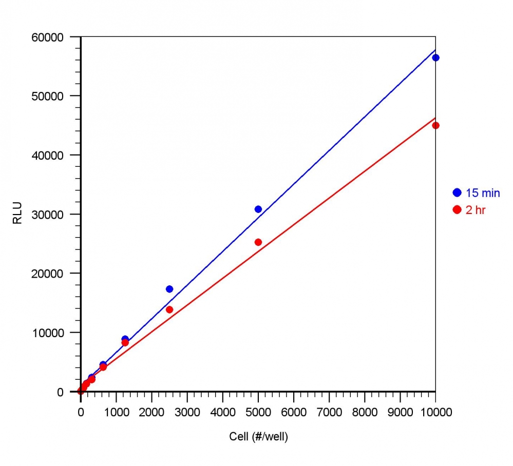Readiuse 快速发光法ATP检测试剂盒    货号21601