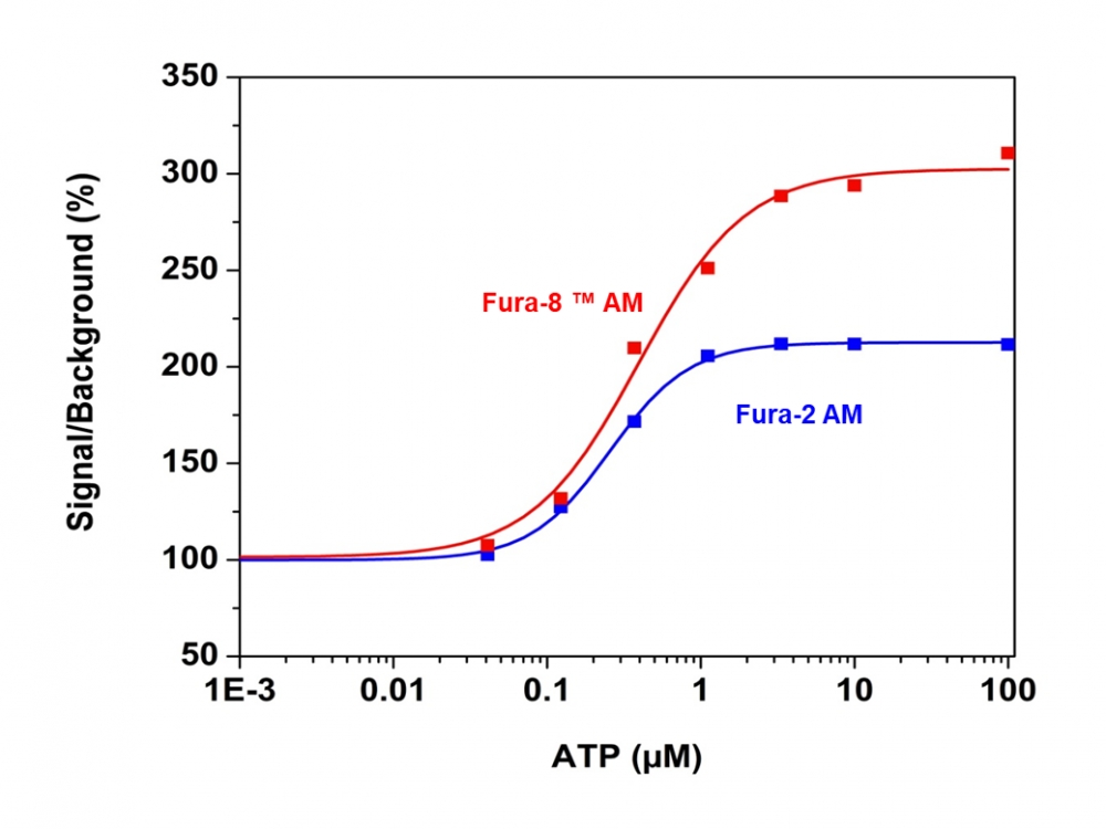 钙离子荧光探针Fura-8, AM    货号21056
