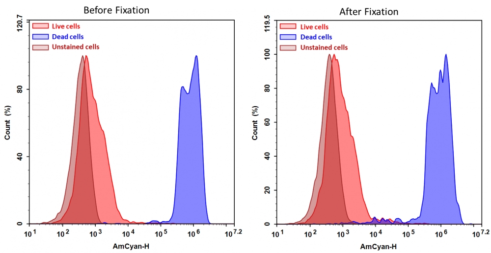 Cell Meter VX450固定化细胞活性染料    货号22540