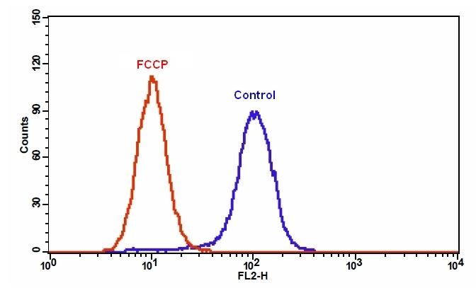 Cell Meter 线粒体膜电位检测试剂盒 橙色荧光 适合流式细胞检测     货号22804