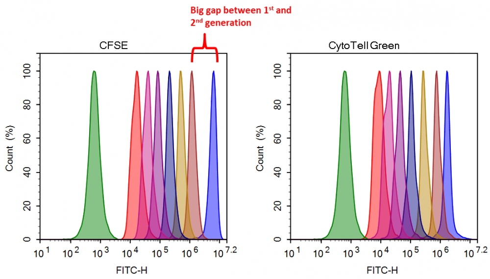 活细胞染色 CytoTell 绿色    货号22254