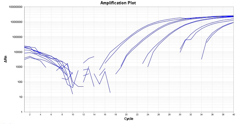 TAQuest qPCR Master Mix 用于TaqMan探针*无ROX*    货号17283