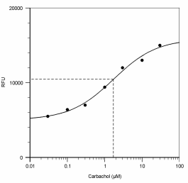 Cell Meter 荧光法细胞内pH检测试剂盒  货号21180