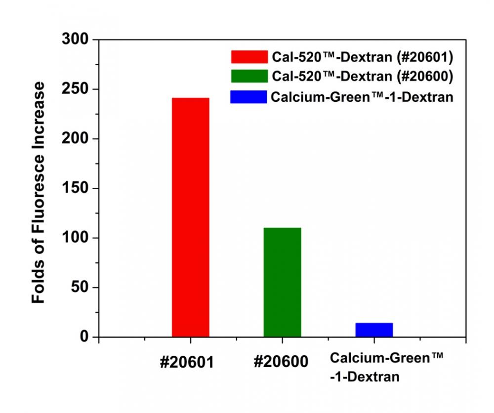 钙离子荧光探针Cal-520-葡聚糖偶联物*MW3000* 货号20600