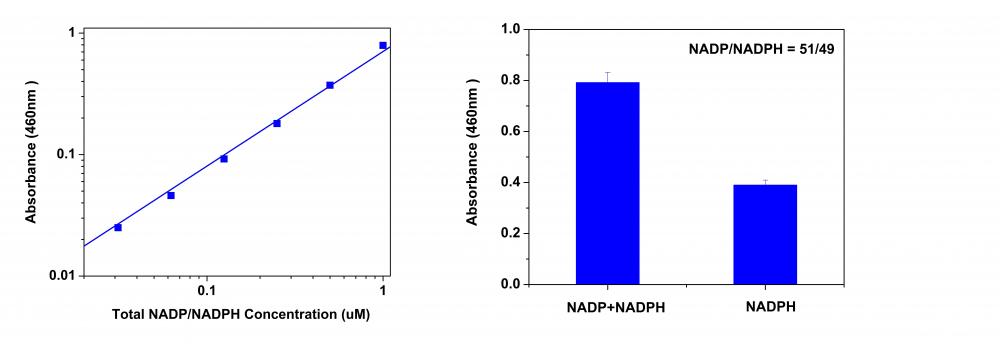 Amplite NADP NADPH比率检测试剂盒比色法 货号15274