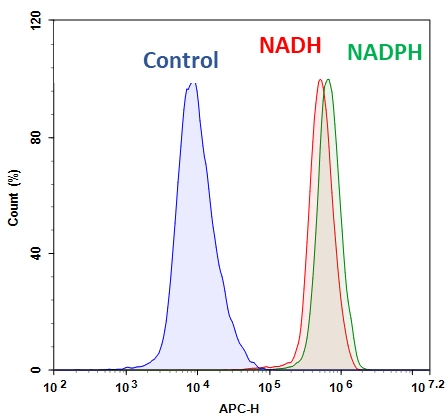 细胞内NADH / NADPH流式细胞分析试剂盒 深红色荧光 货号15296
