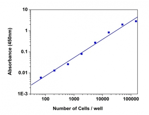 Cell Meter 比色法WST-8细胞定量试剂盒 货号22771