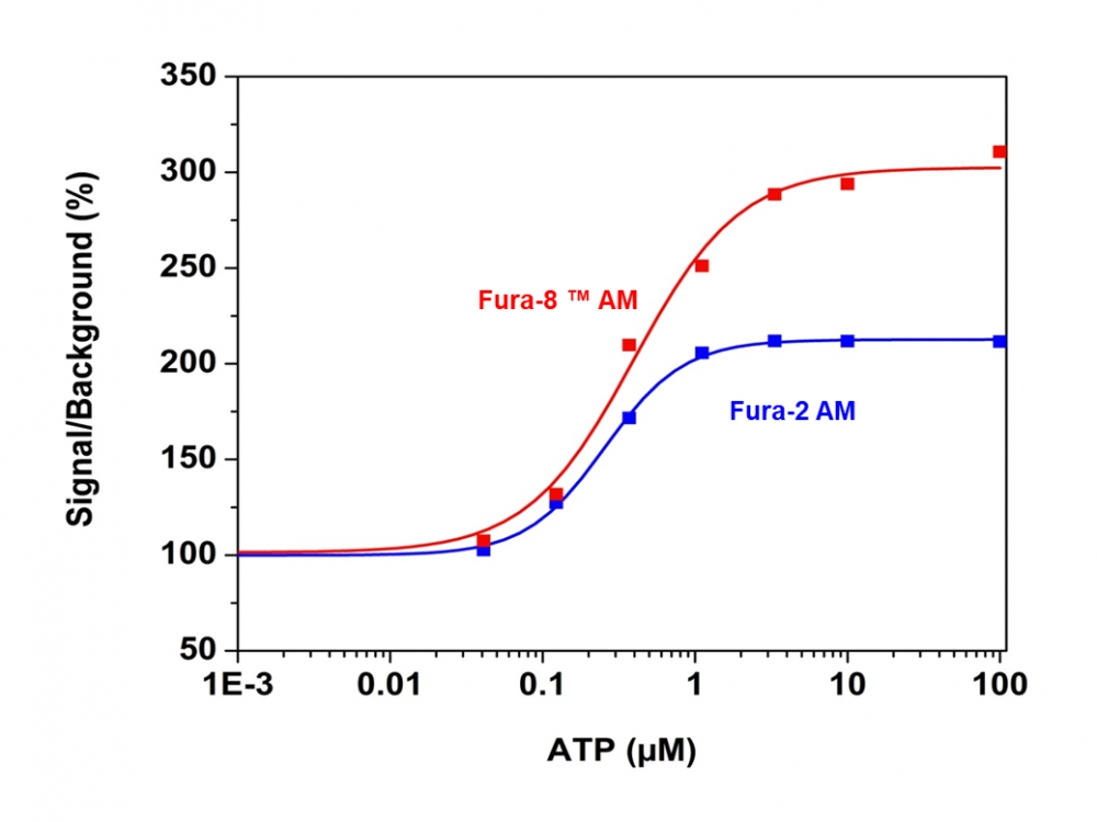 钙离子荧光探针Fura-8, AM 货号21056