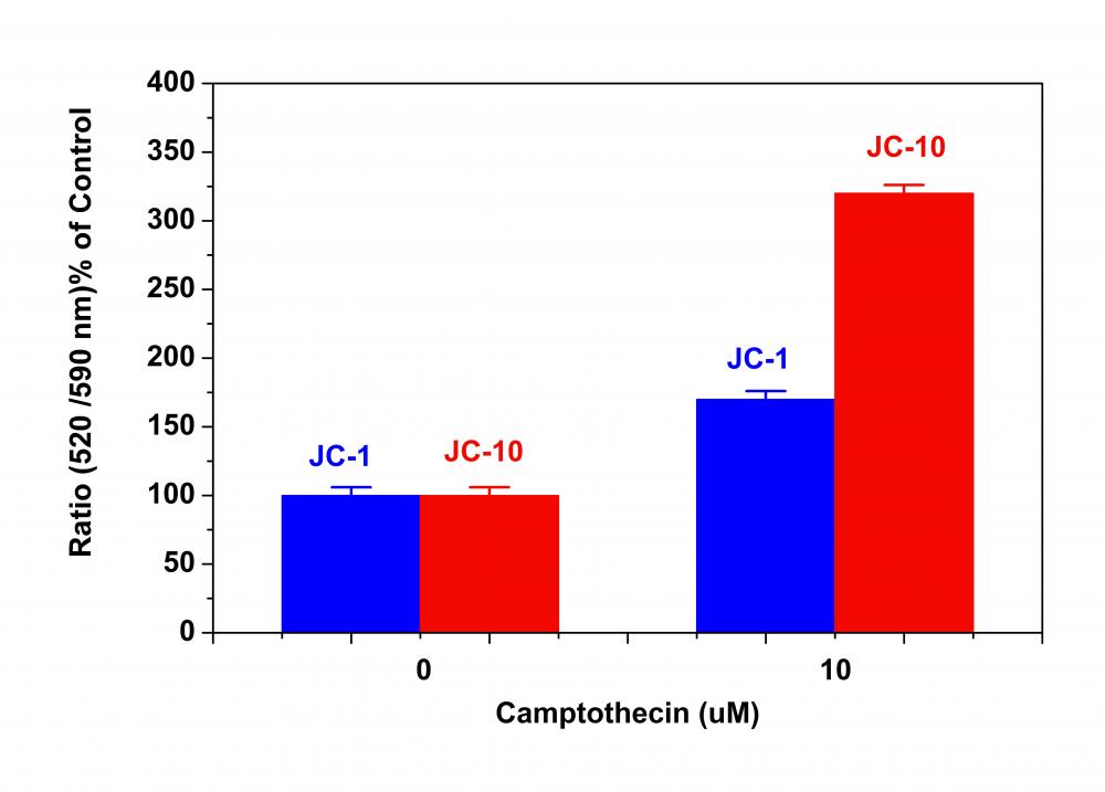 线粒体膜电位荧光探针JC-10 JC-1的代替品 货号22204