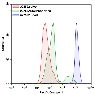 Live or Dead 固定化死细胞标记试剂盒 橙色荧光 货号22502