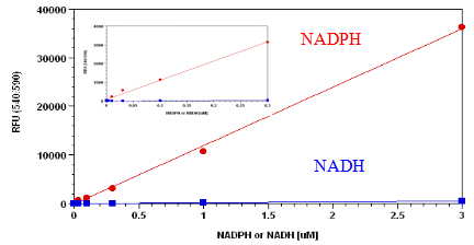 Amplite NADP+/NADPH检测试剂盒荧光法 红色荧光 货号15259