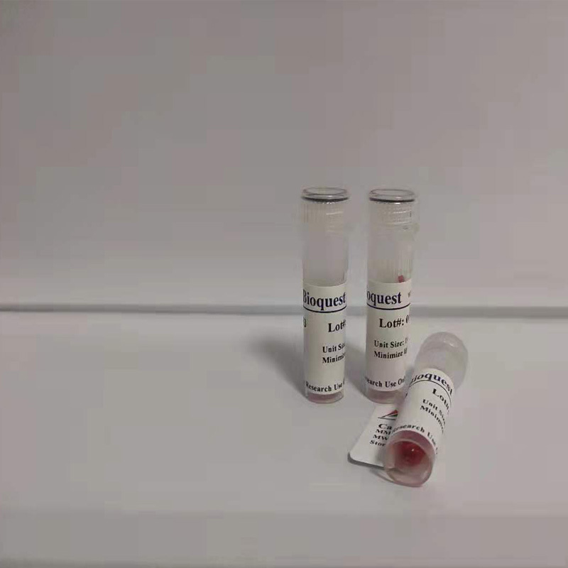 人载脂蛋白B试剂盒 货号V101055