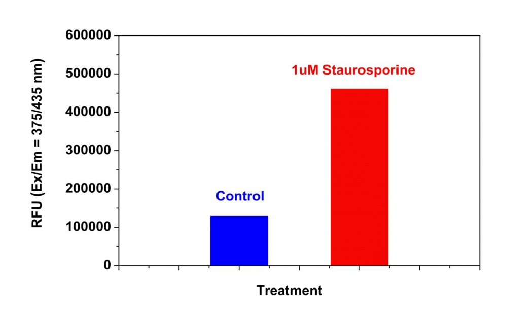 Caspase 9活性细胞凋亡检测试剂盒 蓝色荧光 货号22813