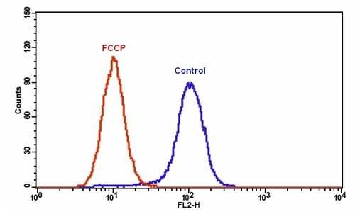 线粒体膜电位检测试剂盒 橙色荧光 适合流式细胞检测 货号22804