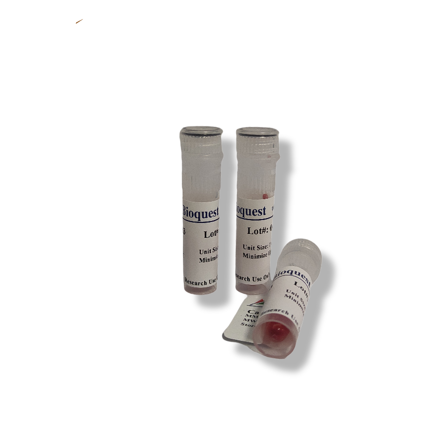 ReadiUse 即用型dNTP Mix溶液货号17200