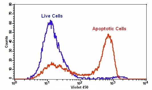 磷脂酰丝氨酸细胞凋亡检测试剂盒 蓝色荧光 405nm激发 货号22835
