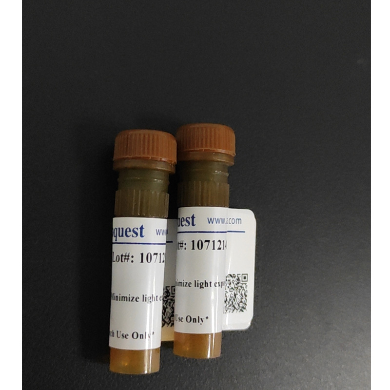小麦胚芽凝集素，AF594标记  货号25509