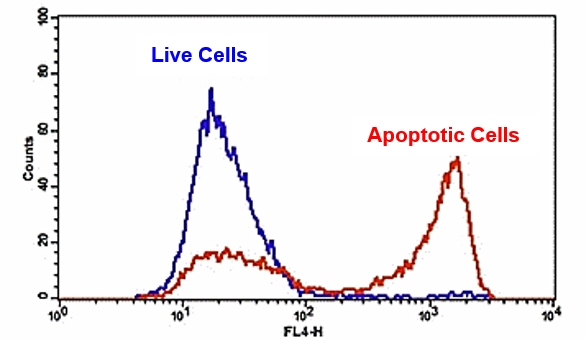 Annexin V-Cy5标记  货号20066