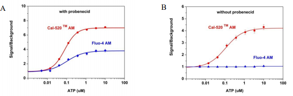 钙离子荧光探针Fluo-5F, 五钾盐 货号20562