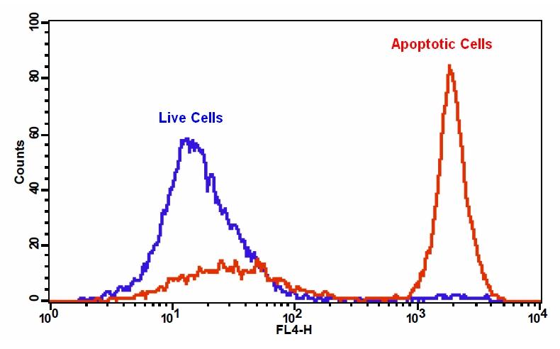 磷脂酰丝氨酸细胞凋亡检测试剂盒 红色荧光 适合于流式细胞检测 货号22832