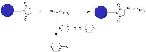 马来酰亚胺定量试剂盒 比色法 货号5525