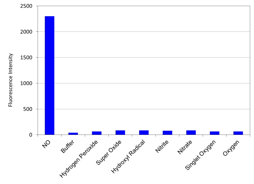 NO荧光探针 DAX-J2 红 货号16301