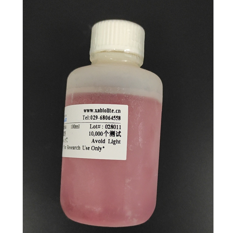 Cell Counting Kit-8 (CCK-8) 细胞增殖与活性检测试剂盒 货号35004