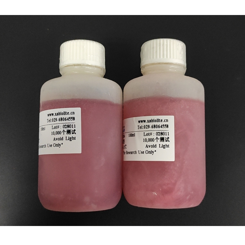 Cell Counting Kit-8 (CCK-8) 细胞增殖与活性检测试剂盒 货号35004