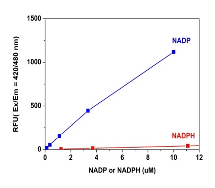 Amplite NADP检测试剂盒荧光法蓝色荧光 货号15281
