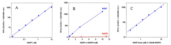 Amplite NADP检测试剂盒荧光法蓝色荧光 货号15281